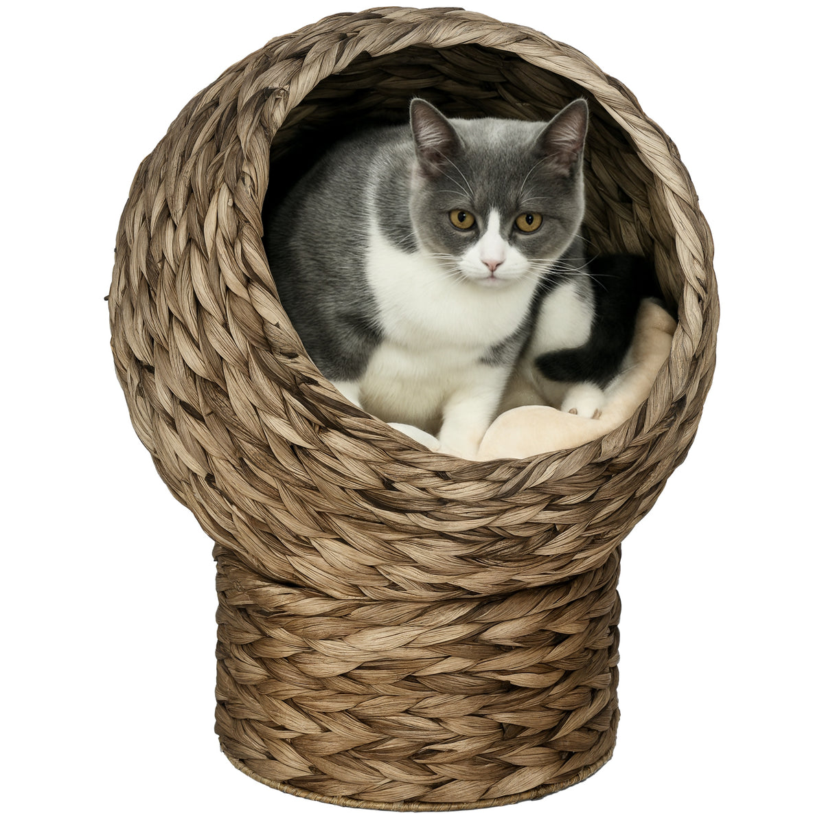 Elevated Cat Bed, Handwoven Egg Chair with Cushion, 20 in Tall