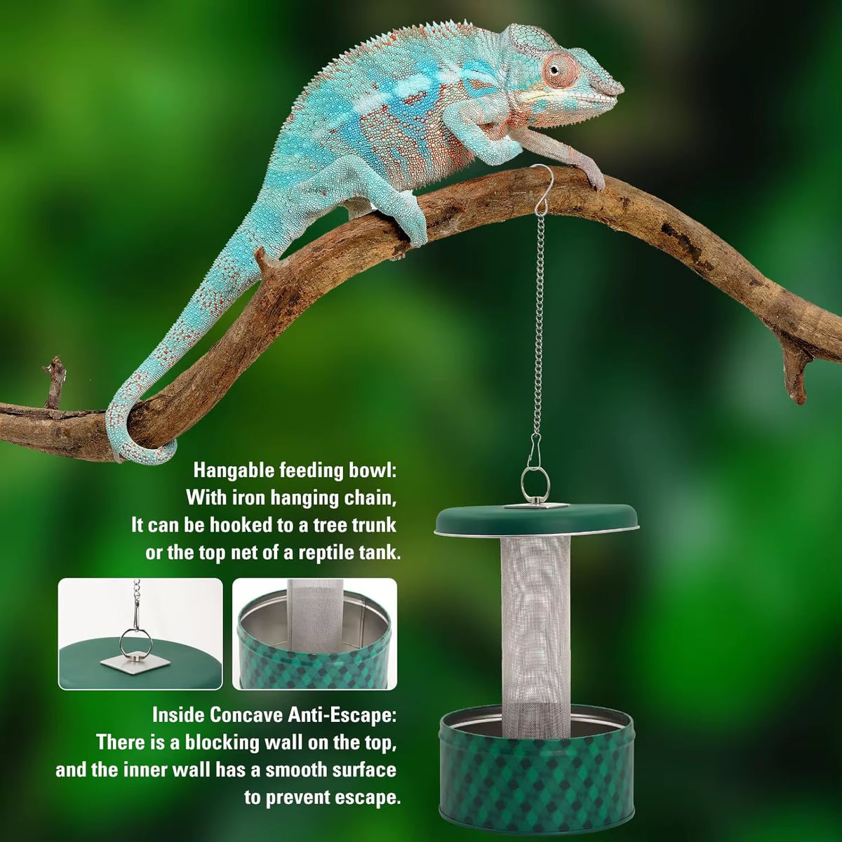 Hanging Reptile Bug Bowl Feeder for Chameleons and Bearded Dragons – image 3