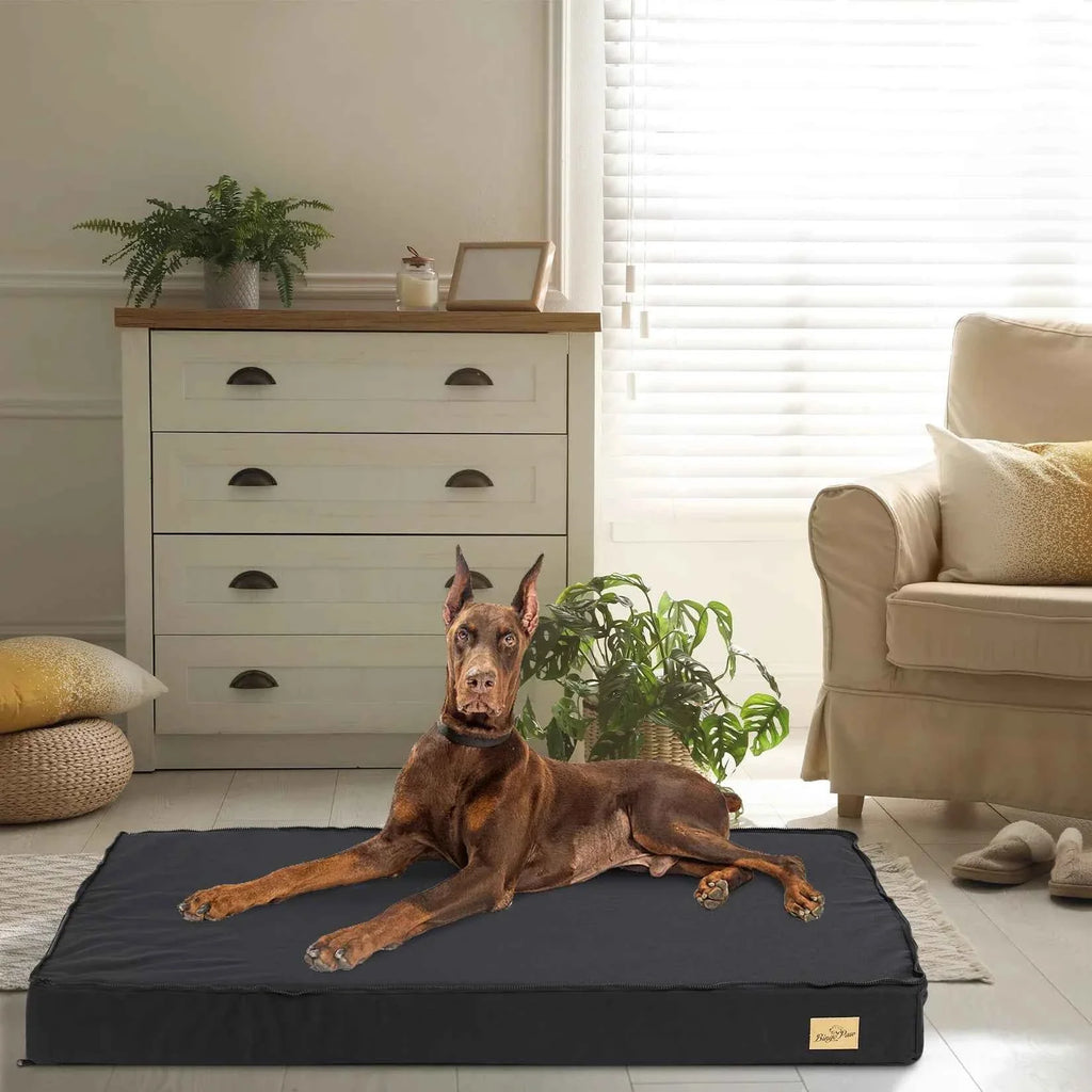 Washable Dog Bed – Foam Crate Bed with Removable Cover – image 4