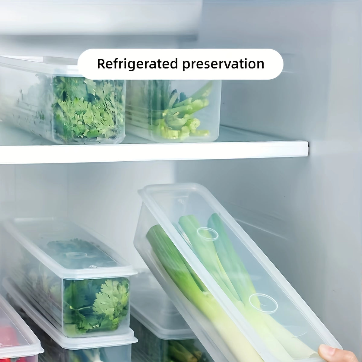Produce Storage Containers – Long Fridge Boxes for Herbs and Veggies – image 5