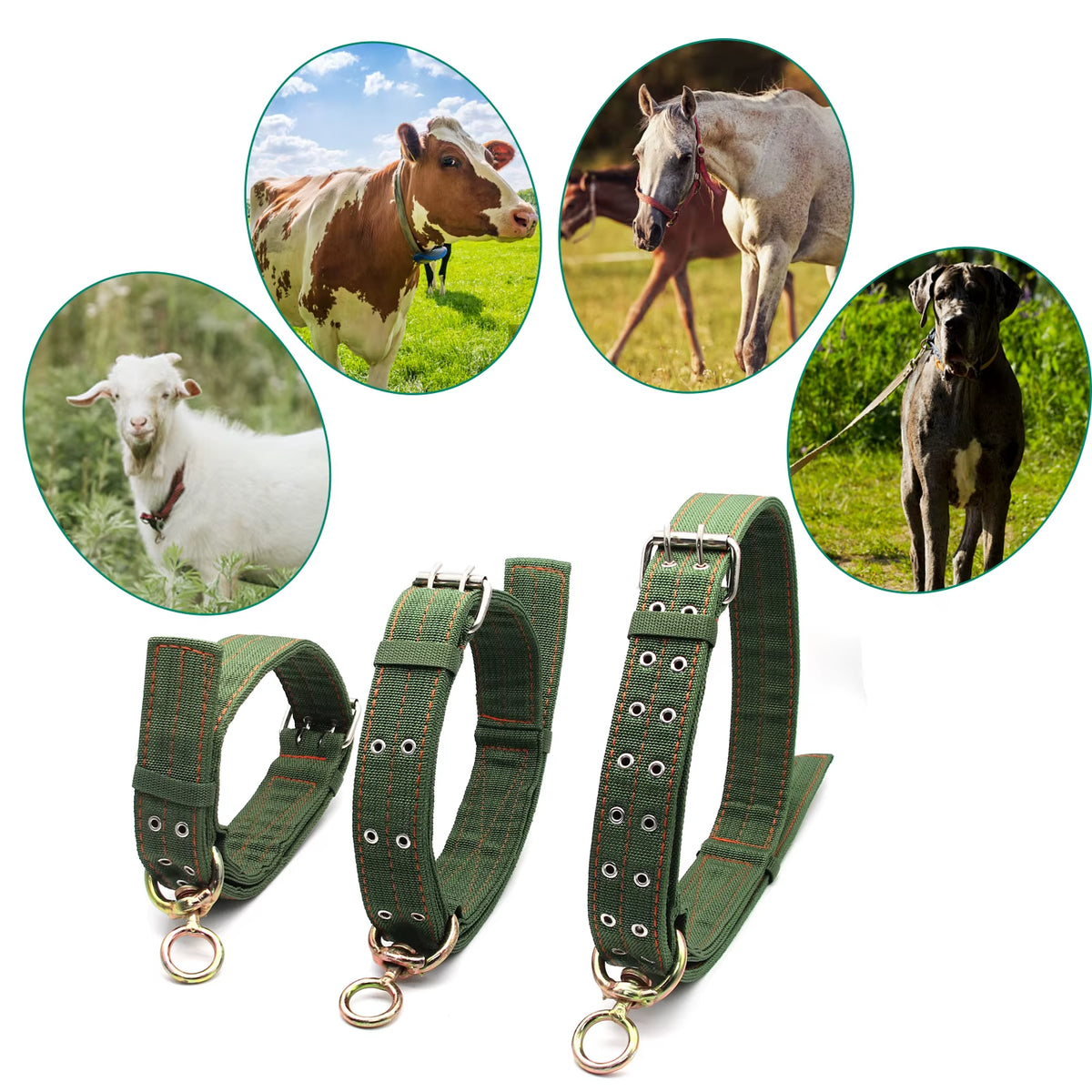 Livestock Cattle Collar, Heavy Canvas Cow Neck Strap with Buckle – image 2