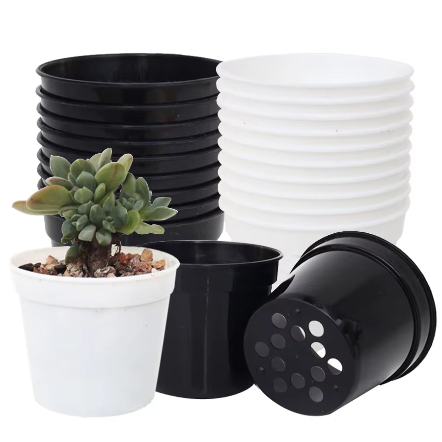 Succulent Plant Pots Mini, 10 Pack – image 2