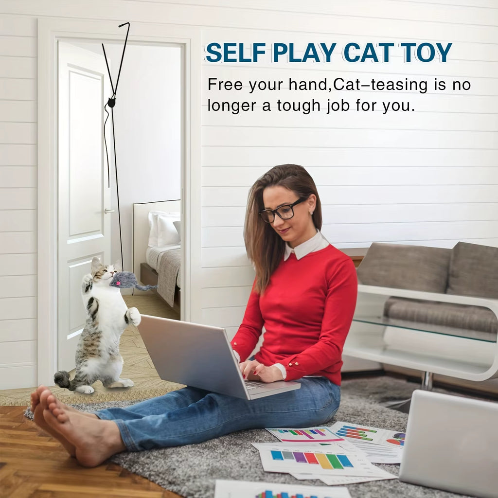 Door Hanging Cat Toy - Interactive Bouncing Teaser for Indoor Cats – image 4