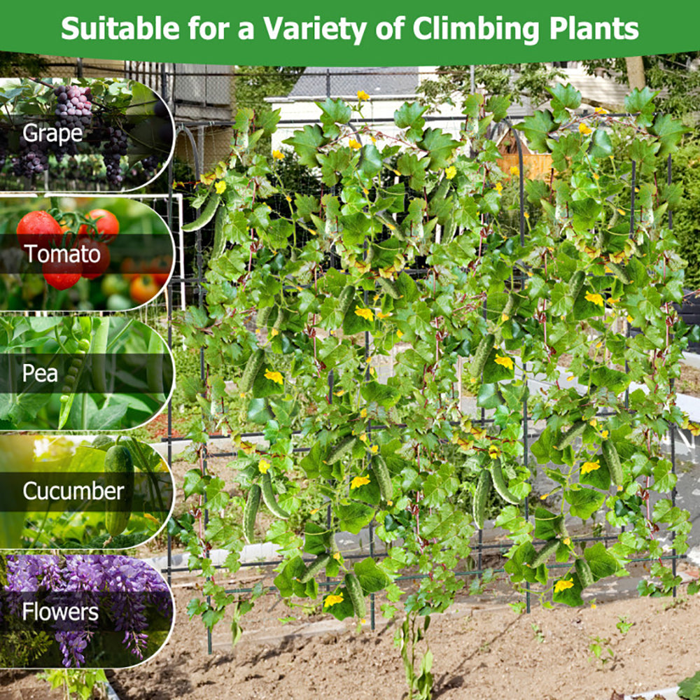 U-Shaped Arched Garden Trellis 71 x 71 in for Climbing Plants – image 7