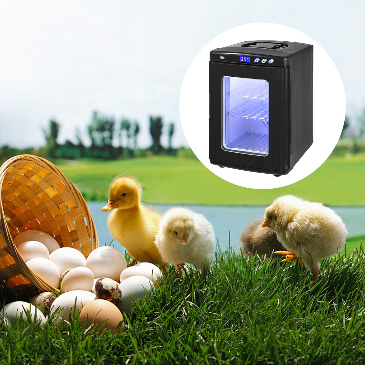 Reptile Egg Incubator 25L, Digital Heating and Cooling 41-107°F – image 1