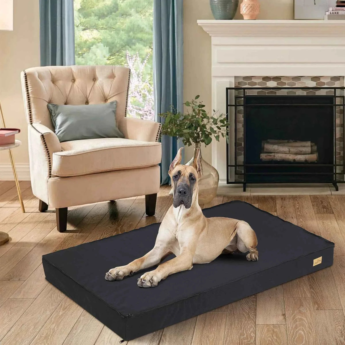 Washable Dog Bed – Foam Crate Bed with Removable Cover