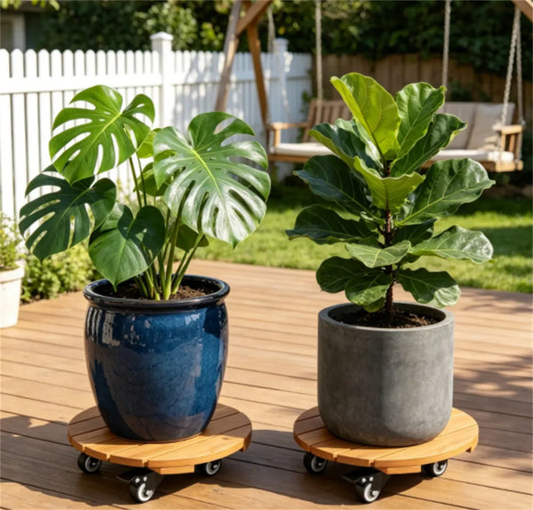 Rolling Plant Caddy Set of 2, 12 in Acacia Wood Pot Mover with Wheels