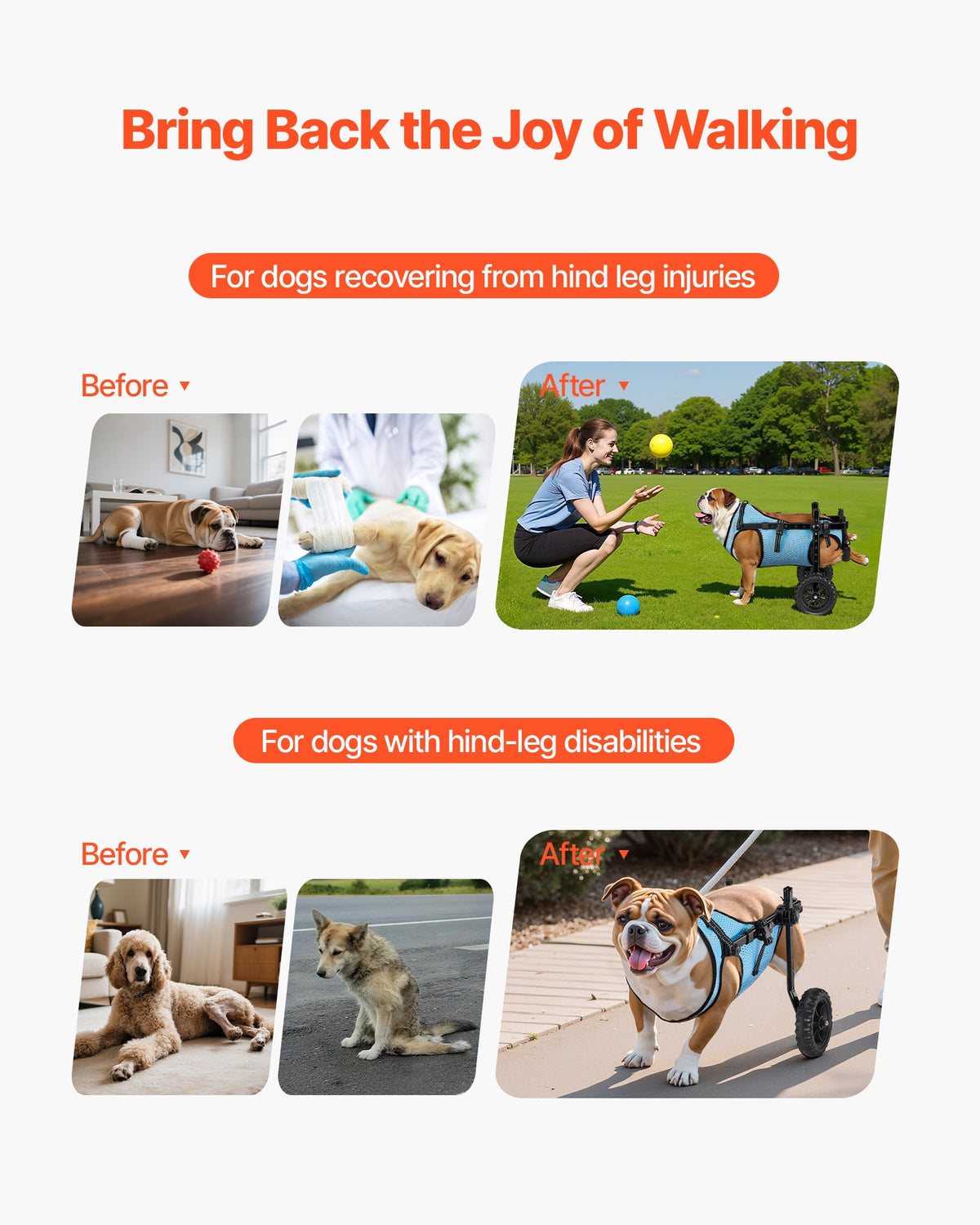 Dog Wheelchair for Back Legs, Adjustable 2-Wheel Pet Cart, Medium – image 2