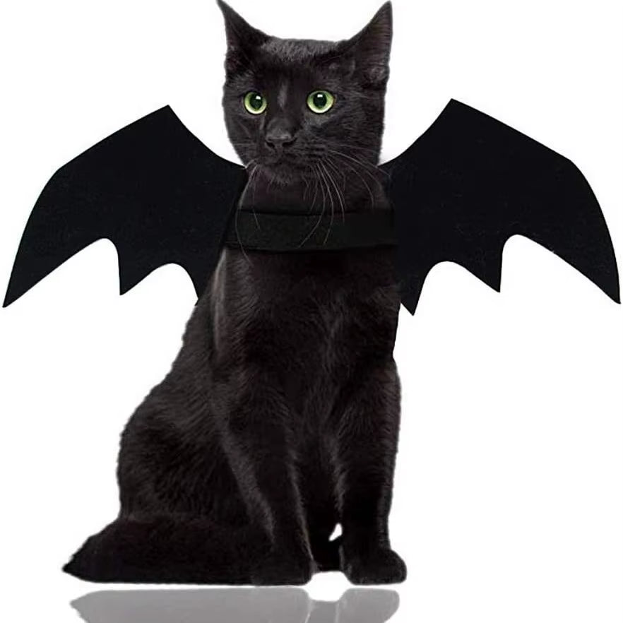 Pet Bat Wings Costume, Halloween Harness for Cats and Small Dogs – image 2