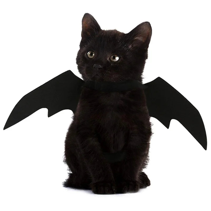 Bat Wings Pet Halloween Costume Harness for Cats and Dogs – image 3
