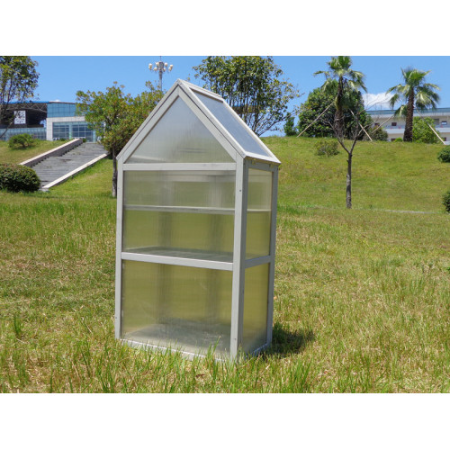 Wooden Mini Greenhouse Kit with Adjustable Shelves and Roof – image 2