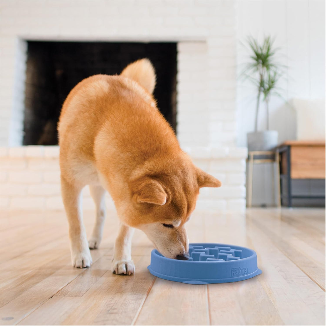 Slow Feeder Dog Bowl – 2 Cup Non-Slip, Blue – image 3