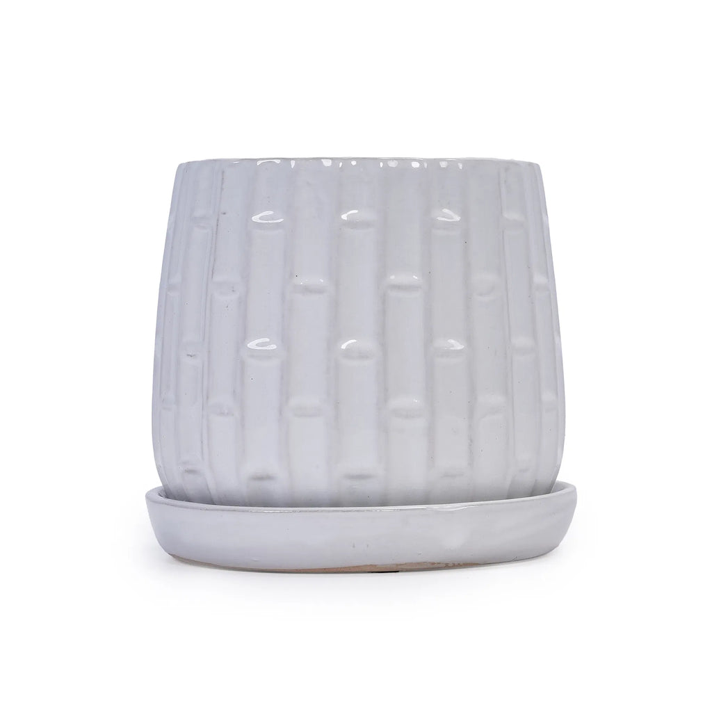 Ceramic Planter Set of 2, White Glazed 6 and 8 in Orchid Pots – image 13