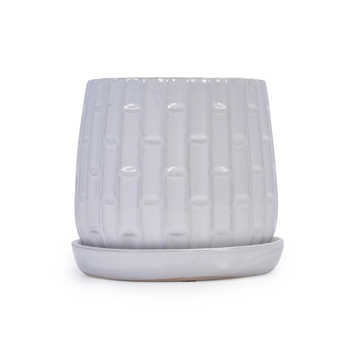 Ceramic Planter Set of 2, White Glazed 6 and 8 in Orchid Pots – image 13