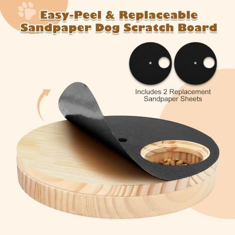 Dog Nail Scratch Board – Adjustable Speed with Treat Box – image 4