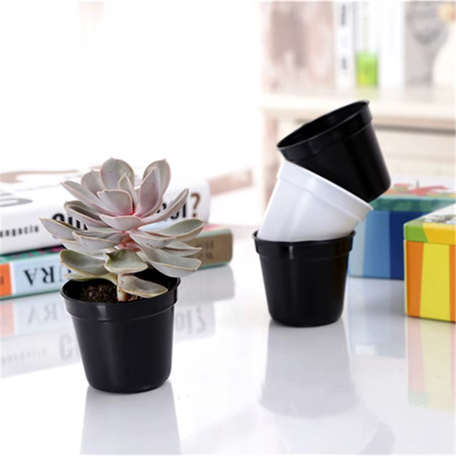 Succulent Plant Pots Mini, 10 Pack – image 5