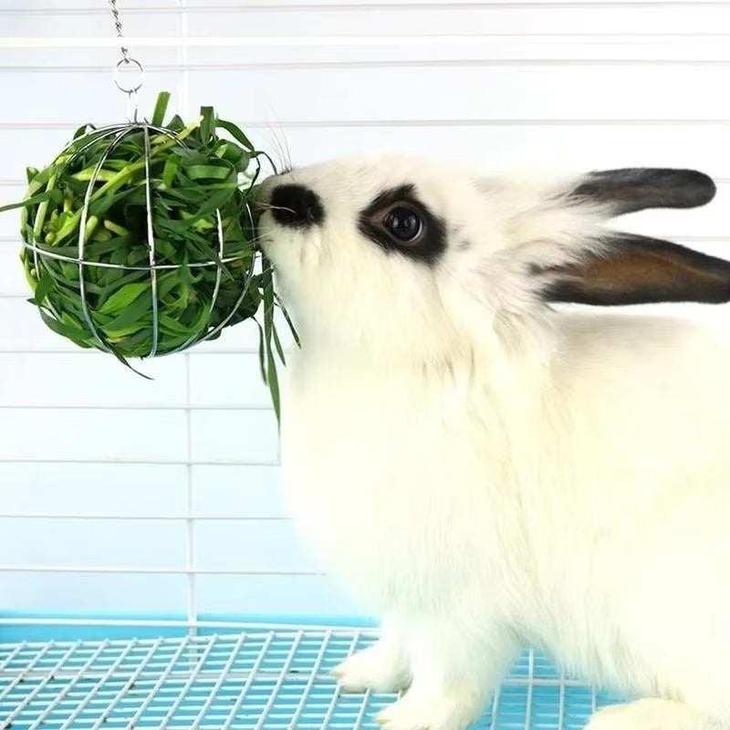 Hay Ball Feeder - Stainless Steel Hanging Hay Rack for Small Pets – image 3