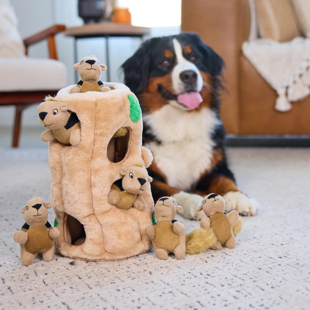 Squirrel Hide and Seek Dog Toy Plush Puzzle with 6 Squeakers – image 5