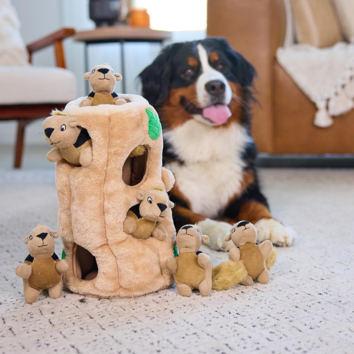 Squirrel Hide and Seek Dog Toy Plush Puzzle with 6 Squeakers – image 5