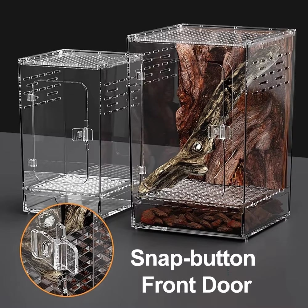 Clear Acrylic Arboreal Terrarium Box for Jumping Spiders and Geckos – image 2