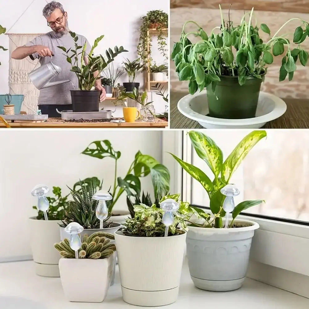 Plant Watering Globe, Glass Mushroom Self-Watering Bulb – image 4