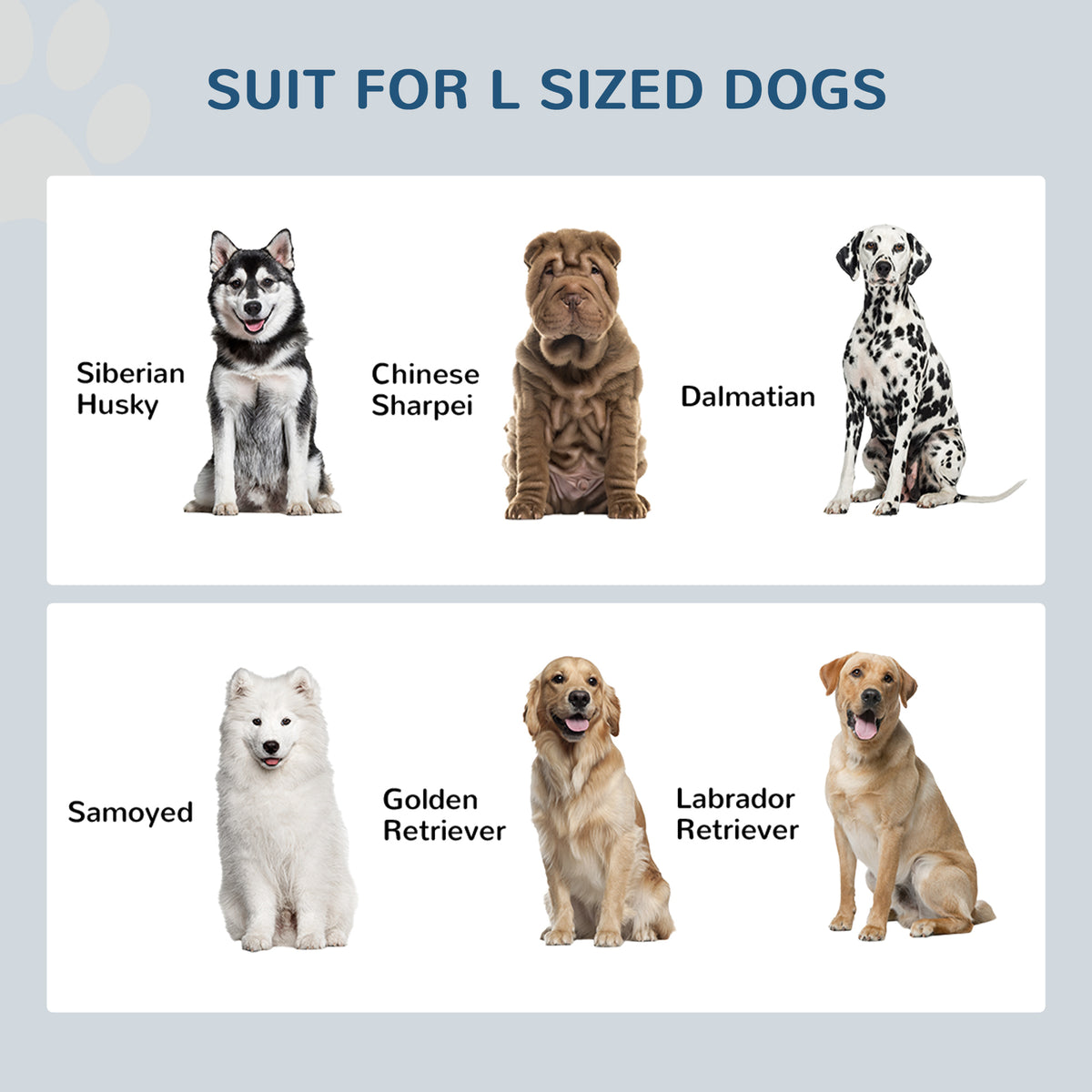 Raised Dog Feeding Station with 21L Food Storage Gray