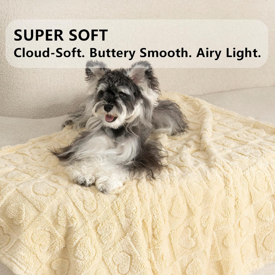 Pet Blanket for Dogs and Cats, 300GSM Coral Fleece, Washable – image 7