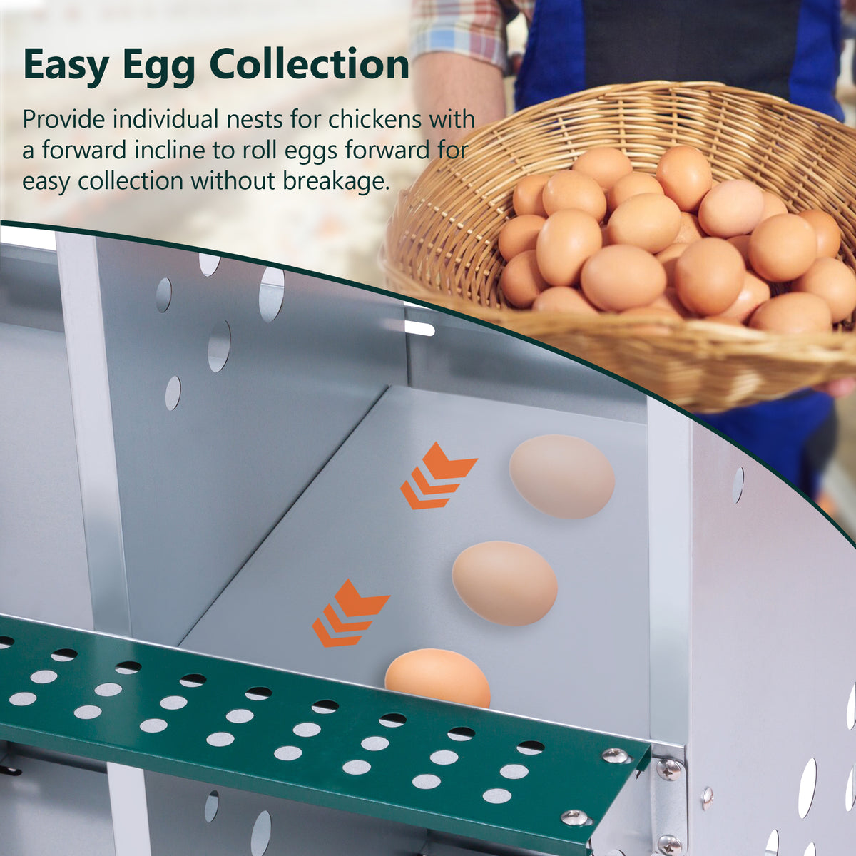 10 Bay Galvanized Steel Hen Nest Box, Wall Mount, Vented