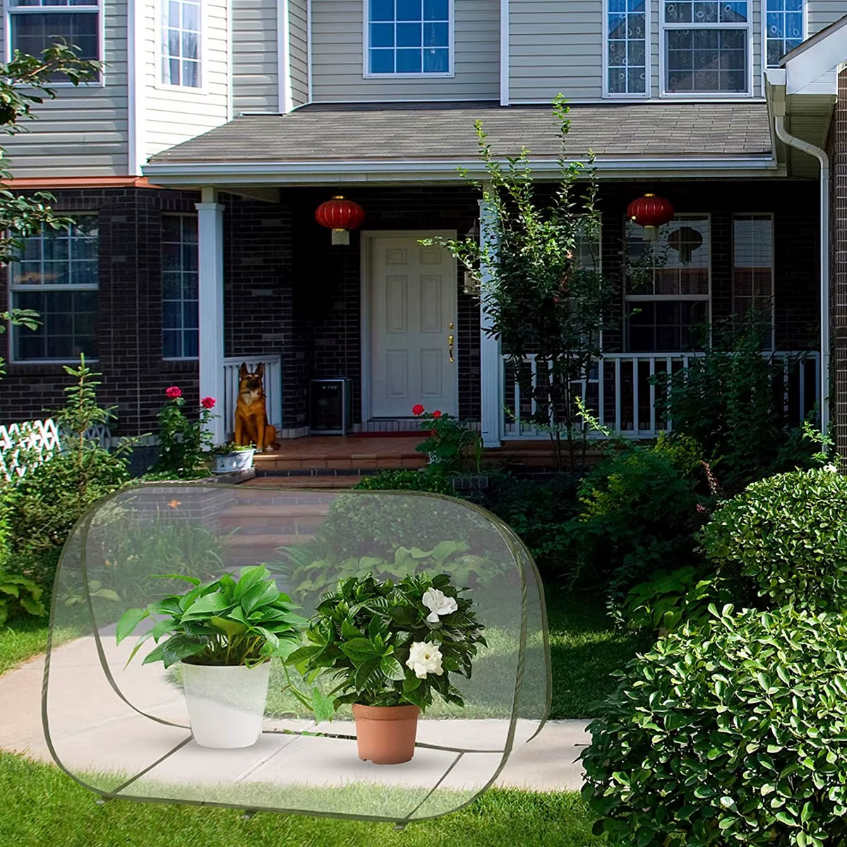 Pop-Up Mini Greenhouse Cover for Potted Plants, PVC & Steel – image 7