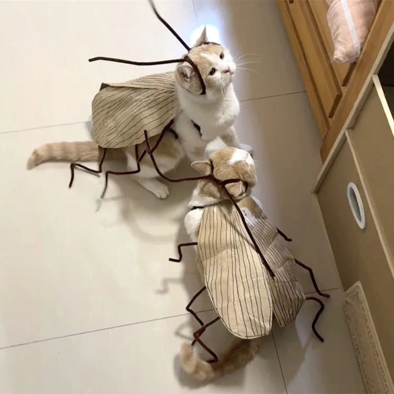 Cockroach Cat Costume with Wings - Funny Halloween Pet Outfit