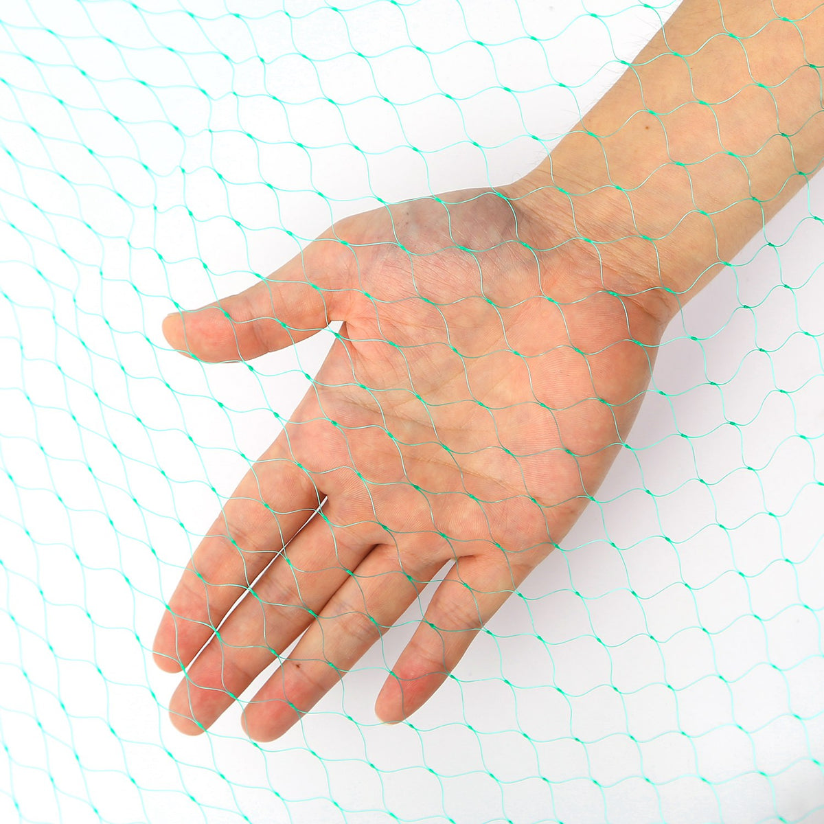 Garden Bird Netting 13 x 33 ft – Heavy Duty PE Plant Protection Net – image 5
