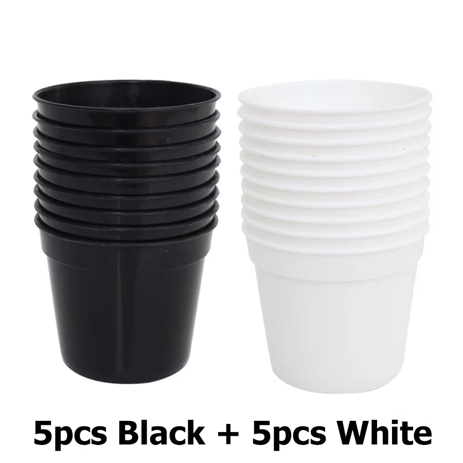 Succulent Plant Pots Mini, 10 Pack – image 9