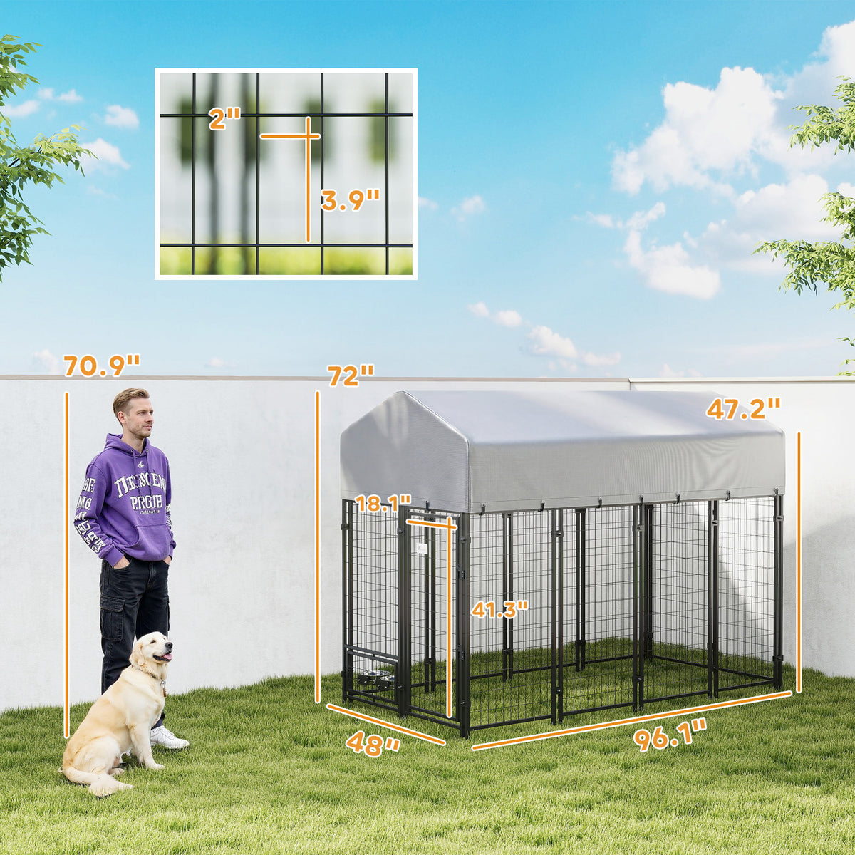 Outdoor Dog Kennel
