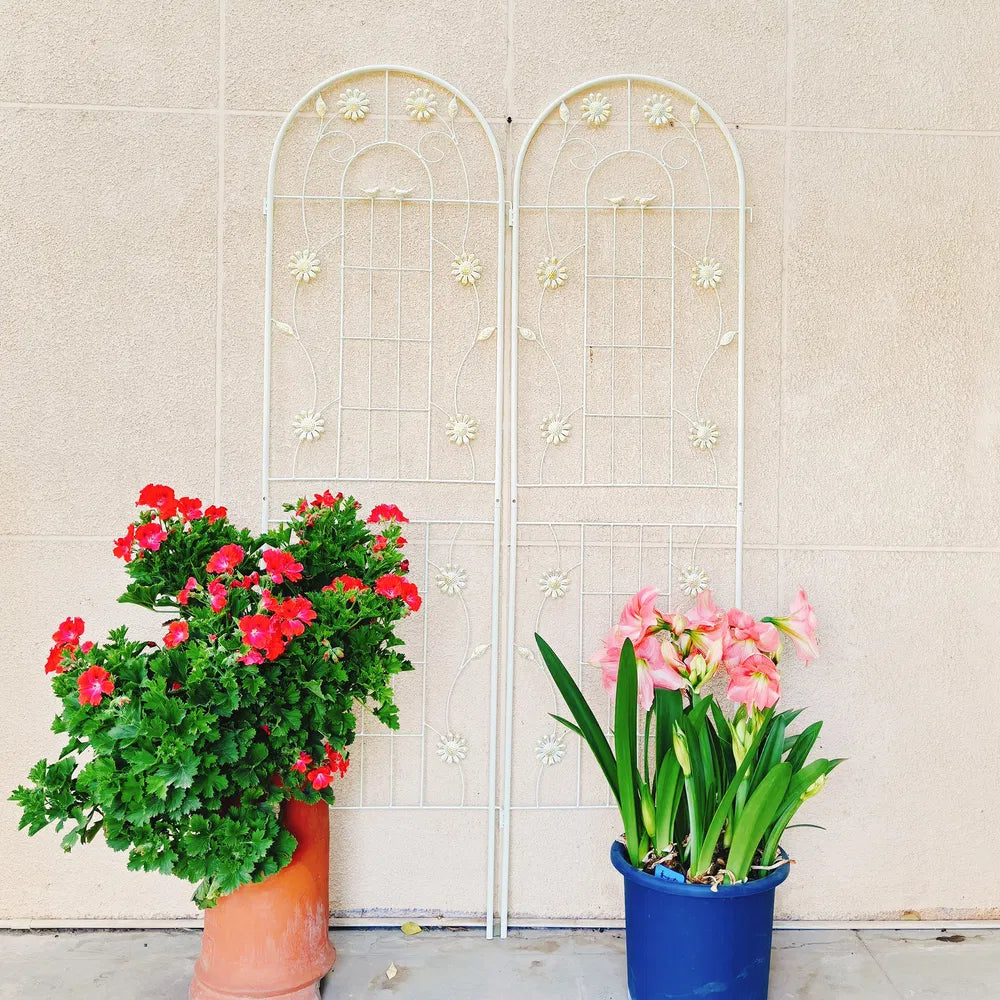 Metal Garden Trellis 2 Pack, 71 x 19.7 in Climbing Plant Support – image 1
