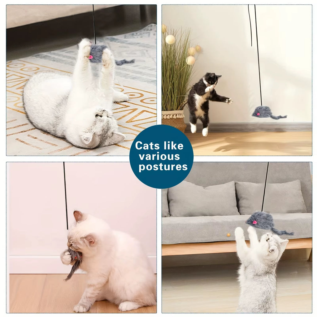 Door Hanging Cat Toy - Interactive Bouncing Teaser for Indoor Cats – image 2