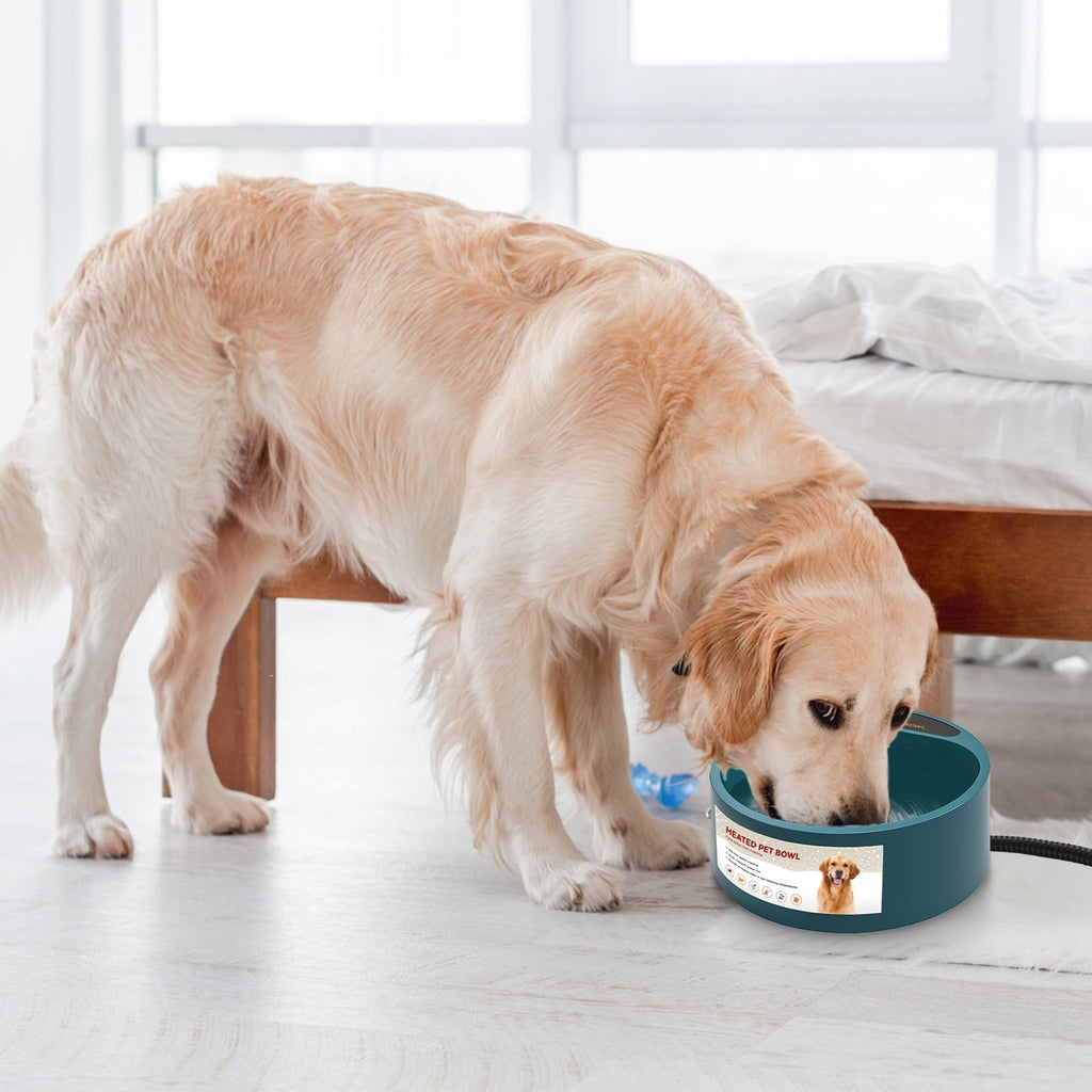 Heated Pet Water Bowl 74oz Thermostatic Outdoor Dog Cat Bowl – image 10
