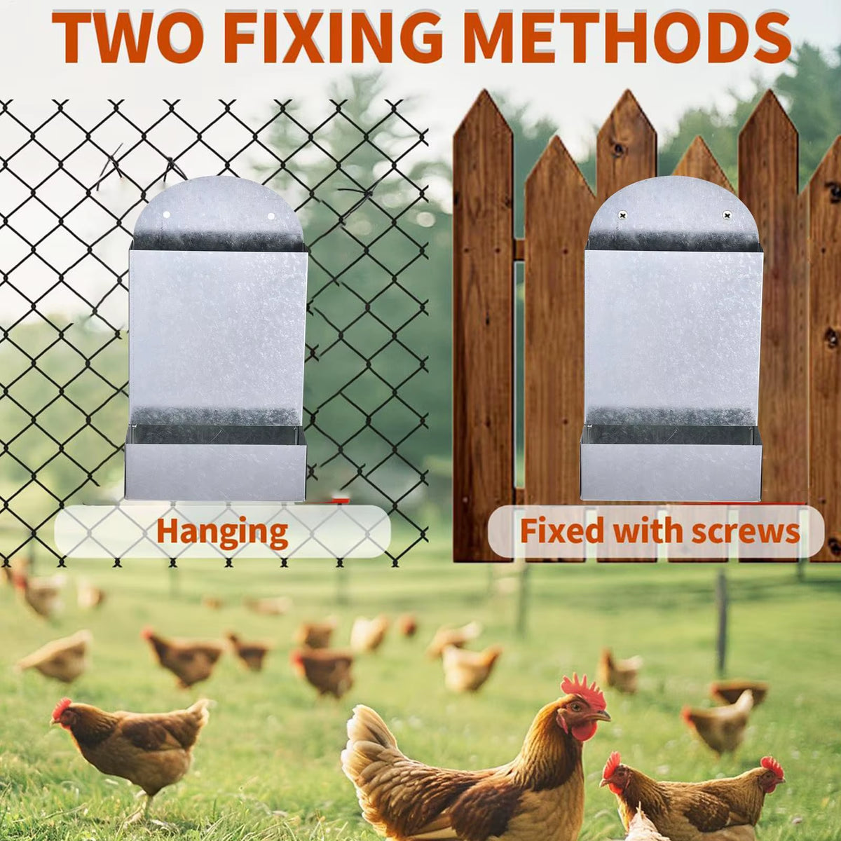 Galvanized Steel Chicken Grit and Oyster Shell Feeder Wall Mount – image 6