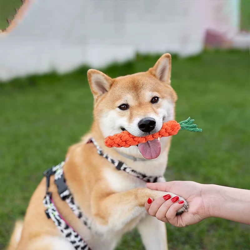 Carrot Braided Rope Chew Toy for Dogs – image 2