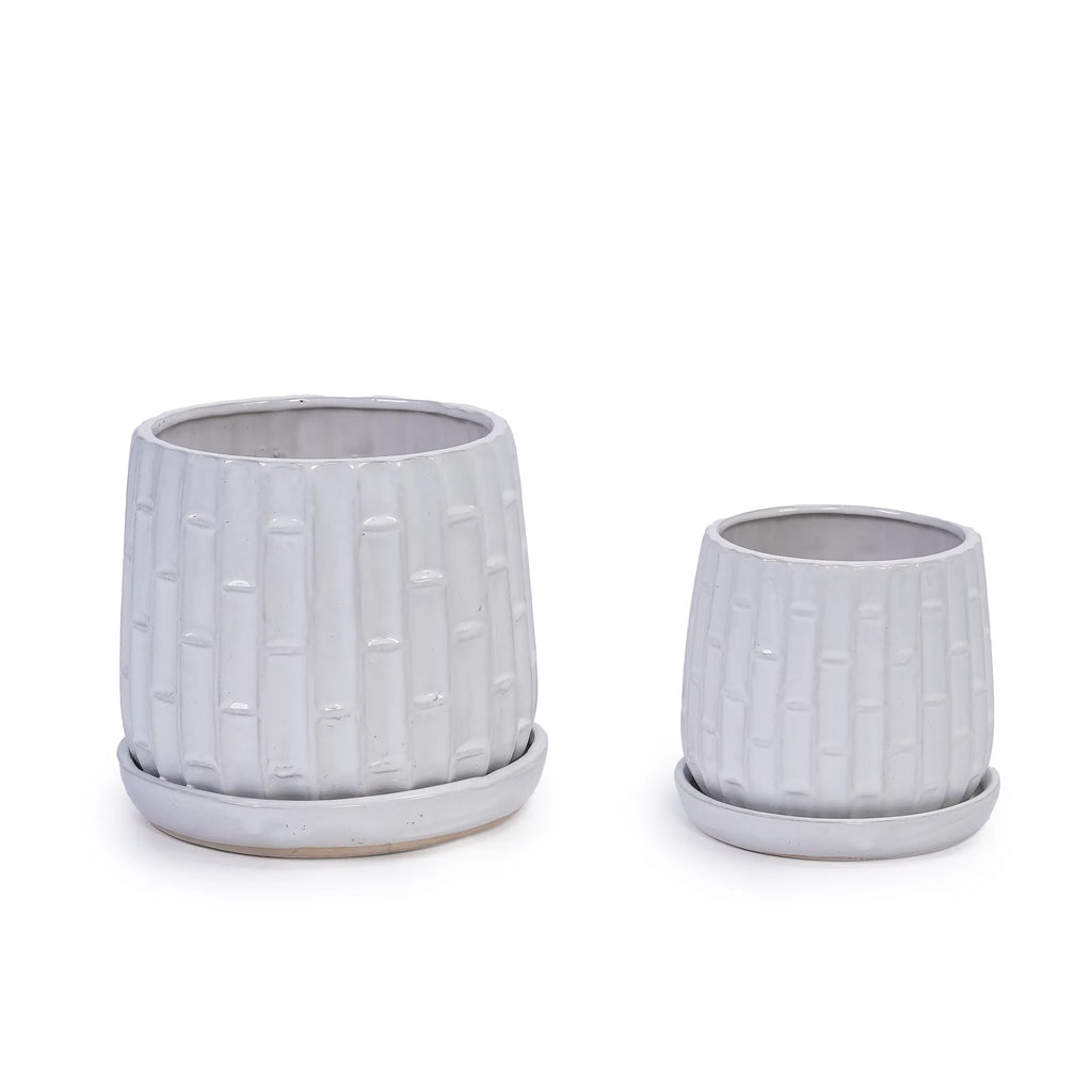 Ceramic Planter Set of 2, White Glazed 6 and 8 in Orchid Pots – image 18
