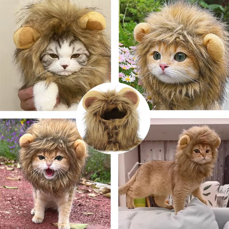Lion Mane Cat Wig Hat - Funny Halloween Pet Costume