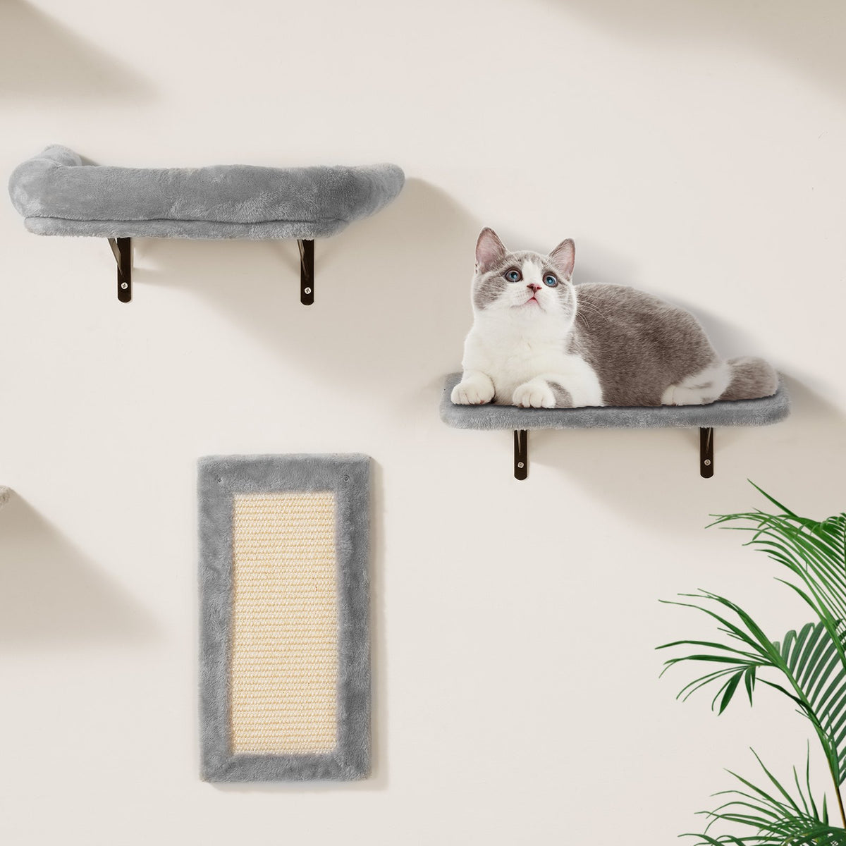 Wall Mounted Cat Shelf Set of 6 with Hammock and Sofa