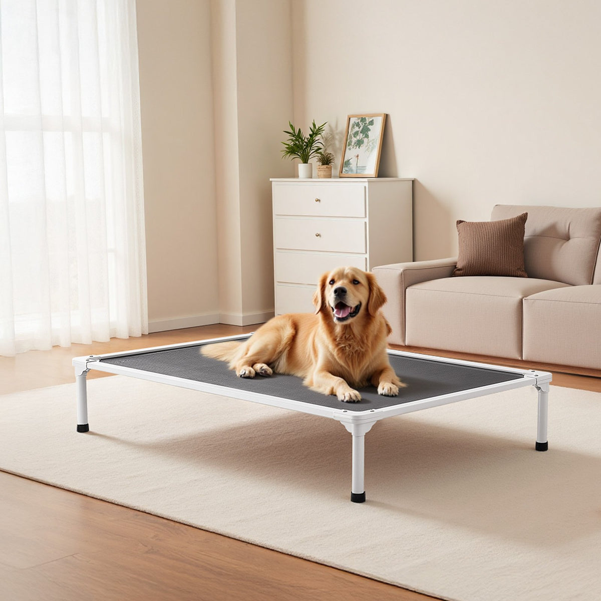XL Elevated Dog Cot Bed with Breathable Mesh & Aluminum Frame