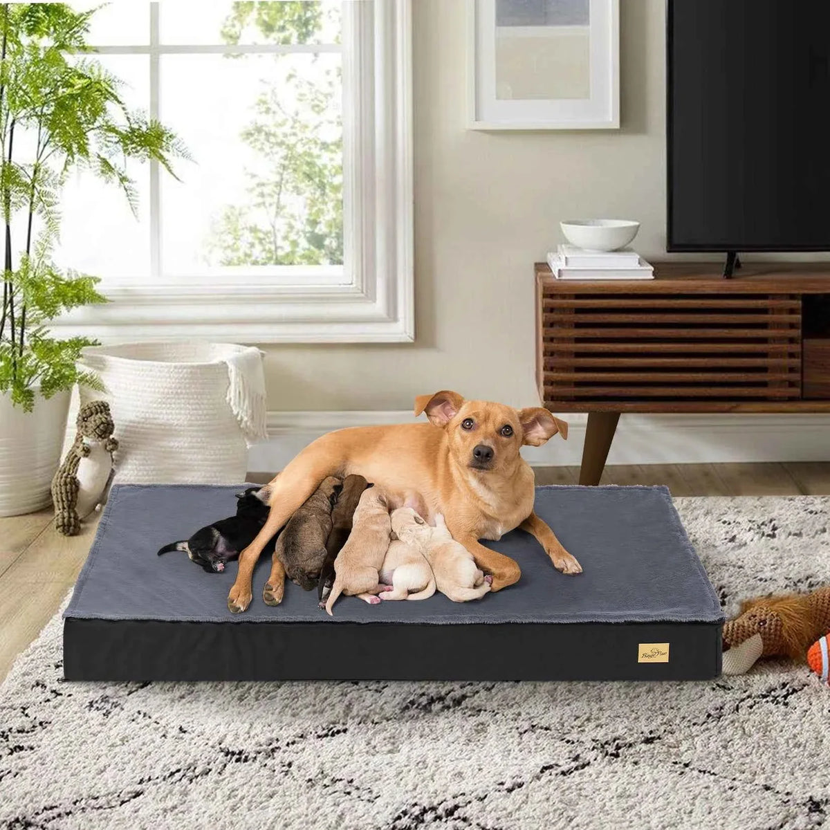Washable Dog Bed – Foam Crate Bed with Removable Cover – image 3
