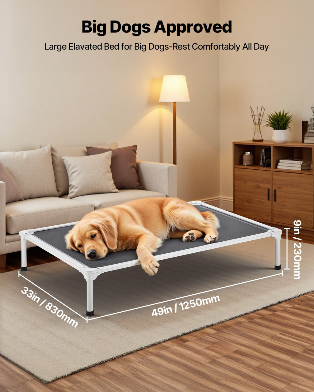 XL Elevated Dog Cot Bed with Breathable Mesh & Aluminum Frame – image 5