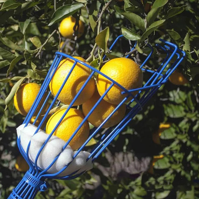 Fruit Picker Head with Deep Basket, Garden Harvest Tool – image 5