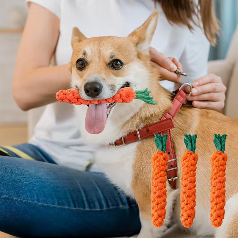 Carrot Braided Rope Chew Toy for Dogs