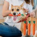 Carrot Braided Rope Chew Toy for Dogs