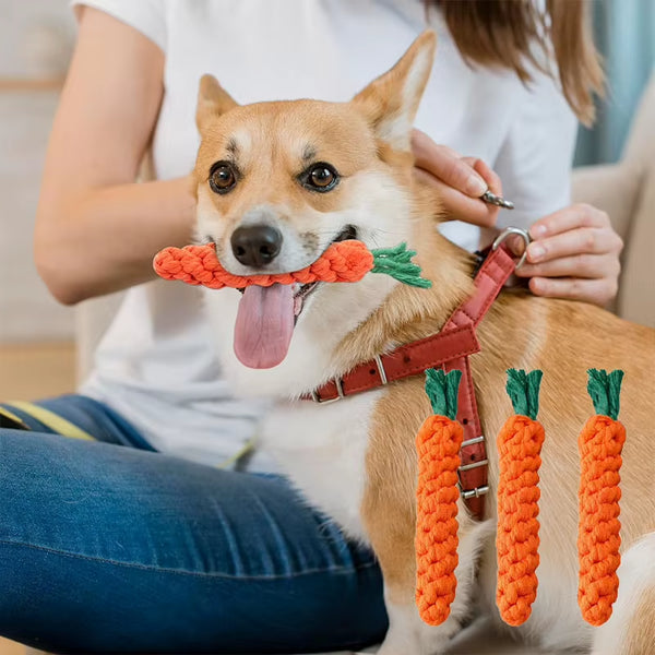 Carrot Braided Rope Chew Toy for Dogs