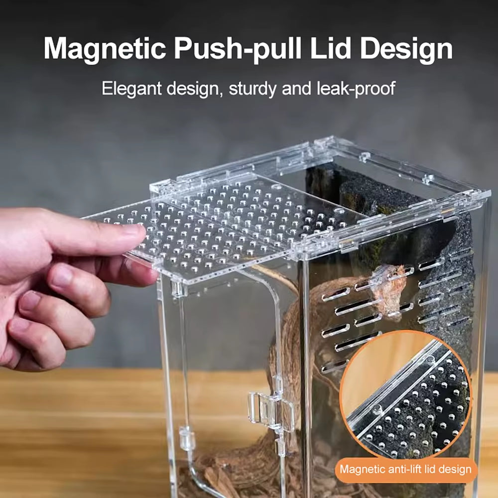 Clear Acrylic Arboreal Terrarium Box for Jumping Spiders and Geckos – image 4