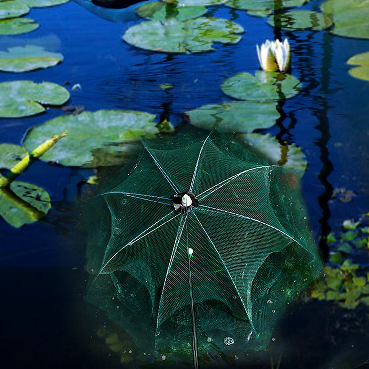 Foldable Fishing Bait Trap Net with 6 Entrances – image 11